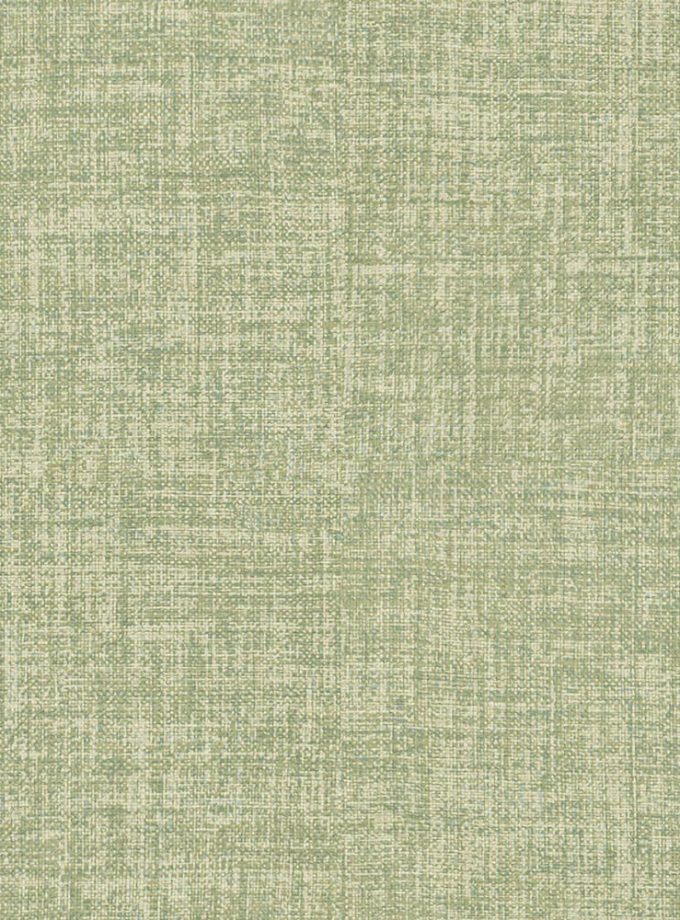 DECO TAPIZ MRS TRAMAE TRANSITUS - 6695 FOREST